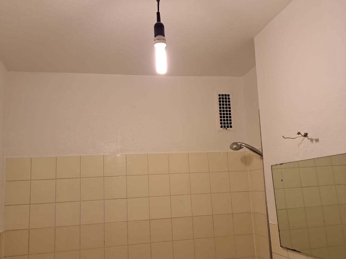 Appartement T2 loué — Hanau WE 17 — photo 12